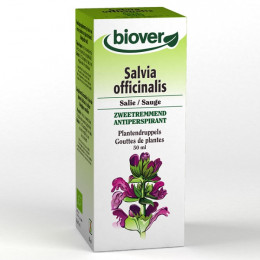 Salvia officinalis - Sauge - Teinture Mère