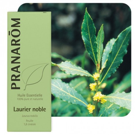 Huile essentielle de Laurier noble