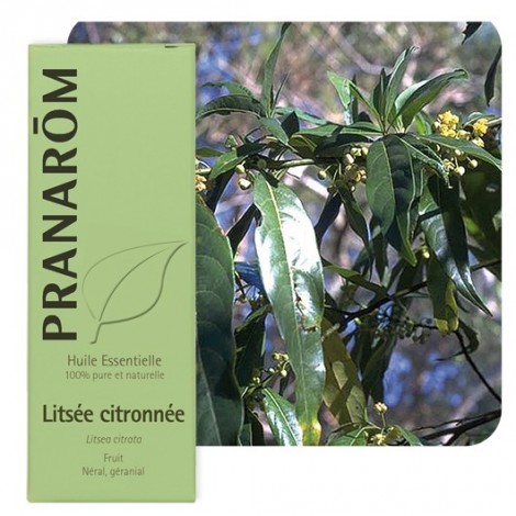 Huile essentielle de Litsée citronnée Huile essentielle de Litsée citronnée