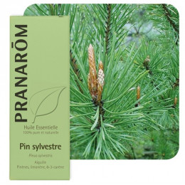 Huile essentielle de Pin sylvestre - 10 ml