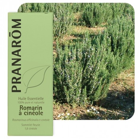 Huile essentielle de Romarin cinéole - 10 ml Huile essentielle de Romarin cinéole - 10 ml