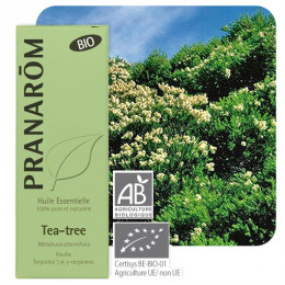 Huile essentielle de Tea Tree BIO 10 ml - Pranarôm