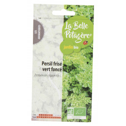 Persil frisé vert foncé 2g - Petroselinum crispum ssp. L.