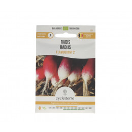 Radis Flamboyant 2 - 7,00 g