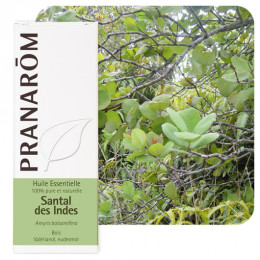 Huile essentielle de Santal des Indes
