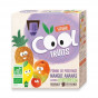 Cool Fruits - Pomme Mangue Ananas - 4 gourdes