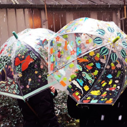 Parapluie - Grenouillettes