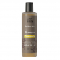 Shampooing camomille cheveux blonds BIO 250 ml