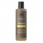 Shampooing camomille cheveux blonds BIO 250 ml