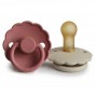 Set de 2 tétines en latex Daisy - Cream/powder blush