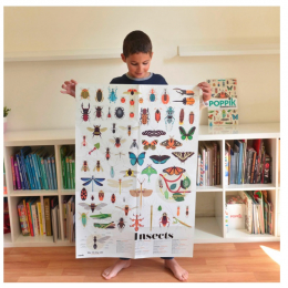 Poster éducatif avec stickers repositionnables - Insectes